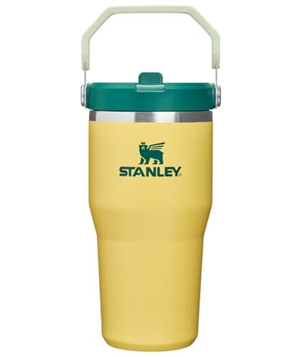 STANLEY IceFlow 2.0 Flip Straw Tumbler, 20 oz, Daffodil Emerald
